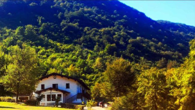 3e_la-via-segreta-del-bosco-web
